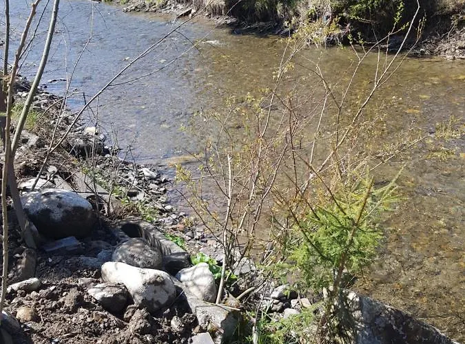 Domek alpejski Góralski Małe Ciche